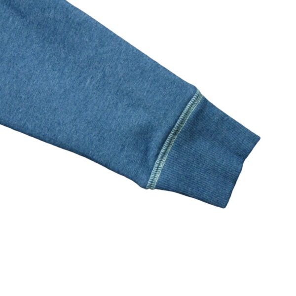 Sweat a capuche homme manches longues bleu The North Face Motif chine Col Rond QWE3030