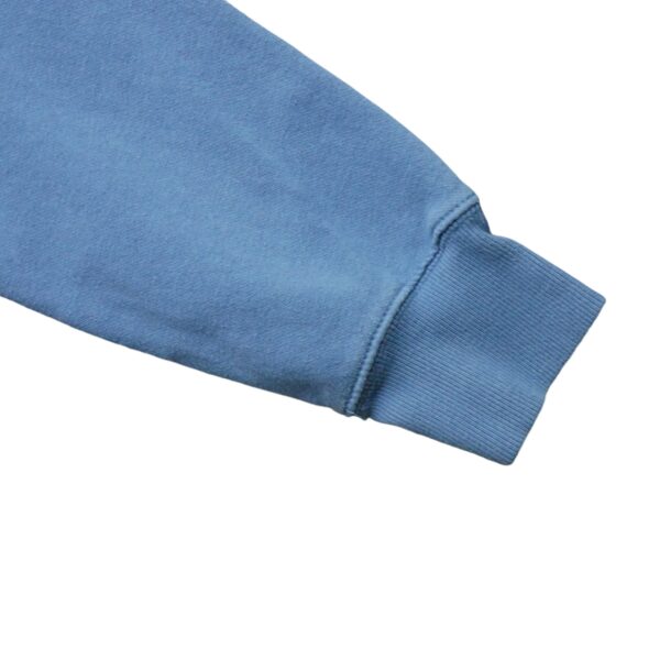 Sweat a capuche homme manches longues bleu The North Face Motif imprime Col Rond QWE1170