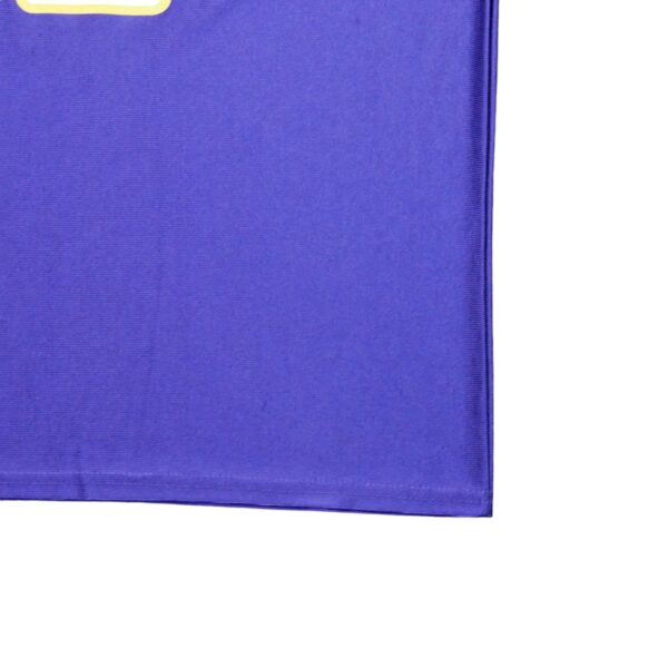Maillot manches courtes homme violet NFL Team Apparel Equipe Minnesota Vikings QWE2097