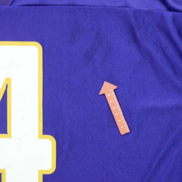 Maillot manches courtes homme violet NFL Team Apparel Equipe Minnesota Vikings QWE2097