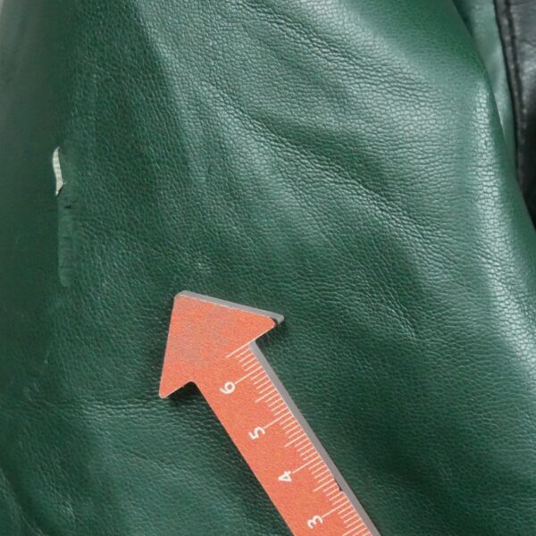 Veste en cuir homme manches longues noir NFL Team Apparel Col Harrington Equipe Green Bay Packers QWE2154
