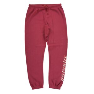 Jogging homme bordeaux Dickies