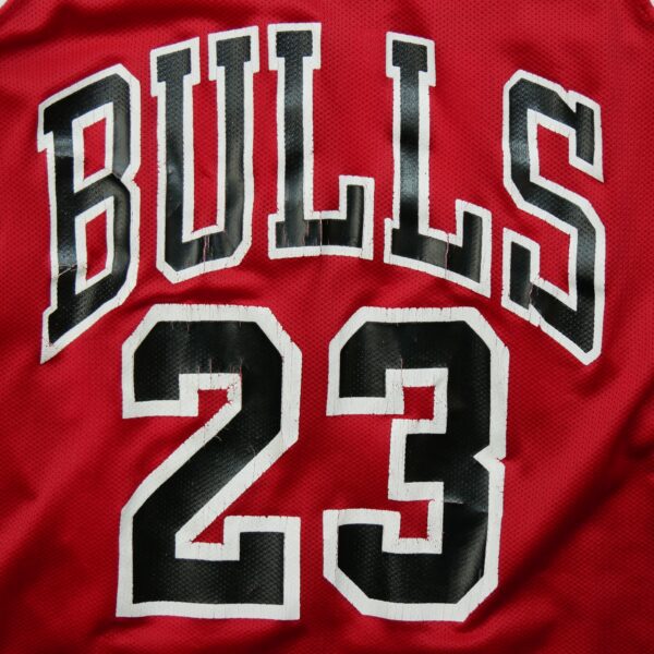 Maillot Champion Chicago Bulls Jordan – Image 3