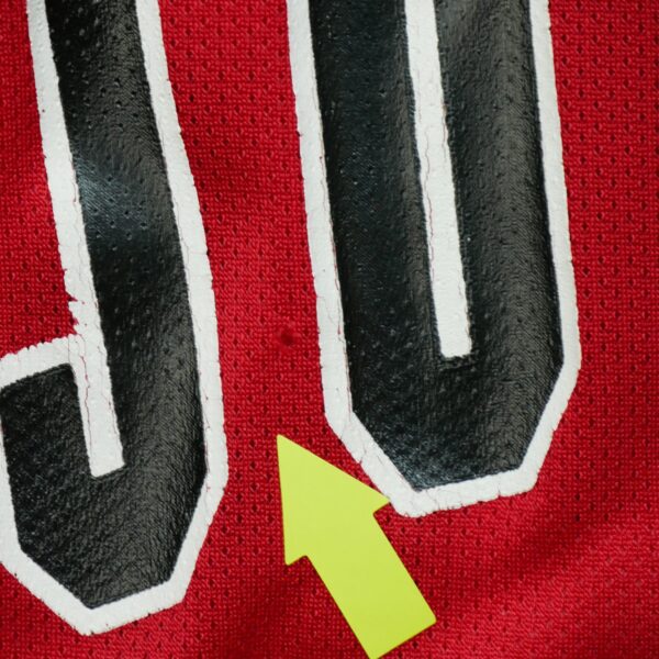 Maillot Champion Chicago Bulls Jordan – Image 7