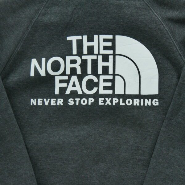 Sweat a capuche femme manches longues gris The North Face Motif chine Col Rond