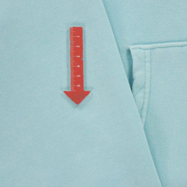 Sweat a capuche homme manches longues bleu Champion Col Rond