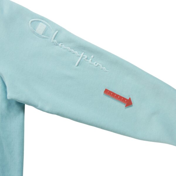 Sweat a capuche homme manches longues bleu Champion Col Rond