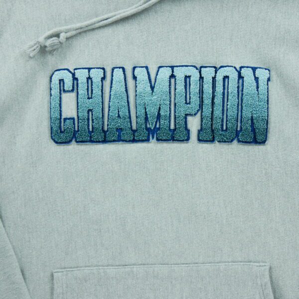 Sweat a capuche homme manches longues gris Champion Motif chine Col Rond