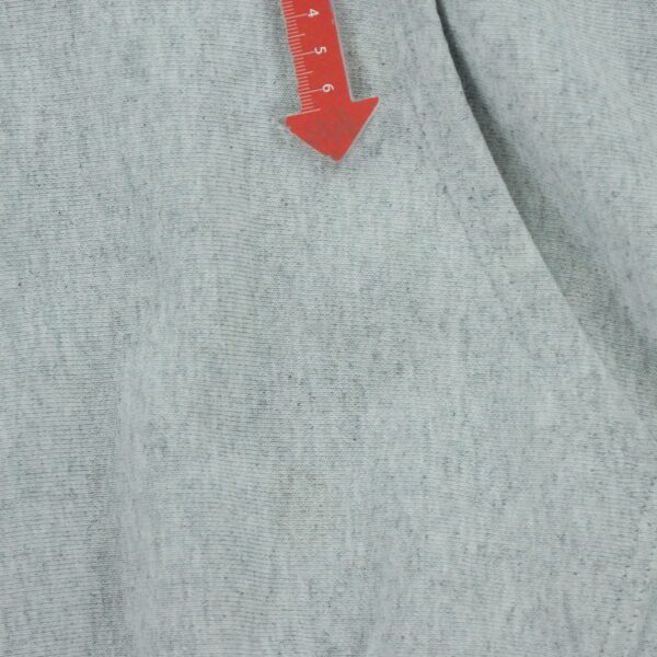 Sweat a capuche homme manches longues gris Champion Motif chine Col Rond