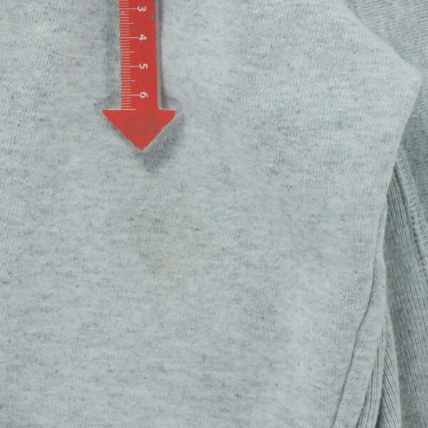 Sweat a capuche homme manches longues gris Champion Motif chine Col Rond