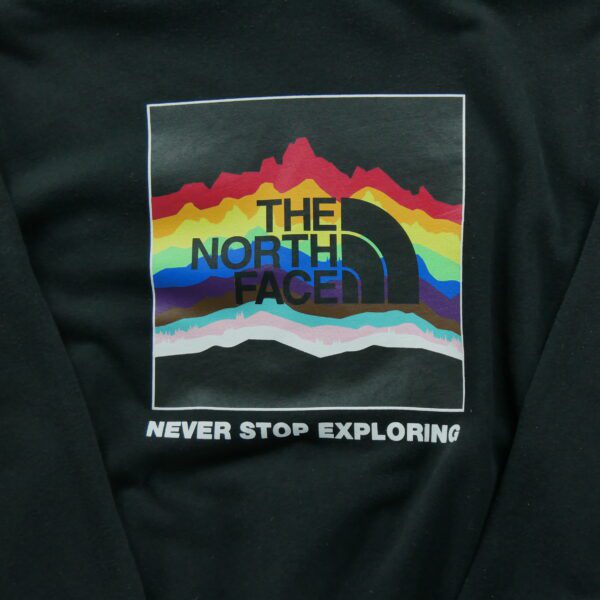 Sweat a capuche homme manches longues noir The North Face Col Rond