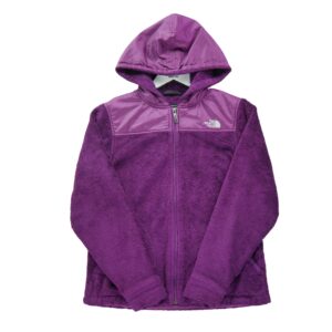 Veste polaires homme manches longues violet The North Face Col Montant