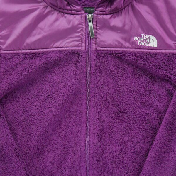 Veste polaires homme manches longues violet The North Face Col Montant