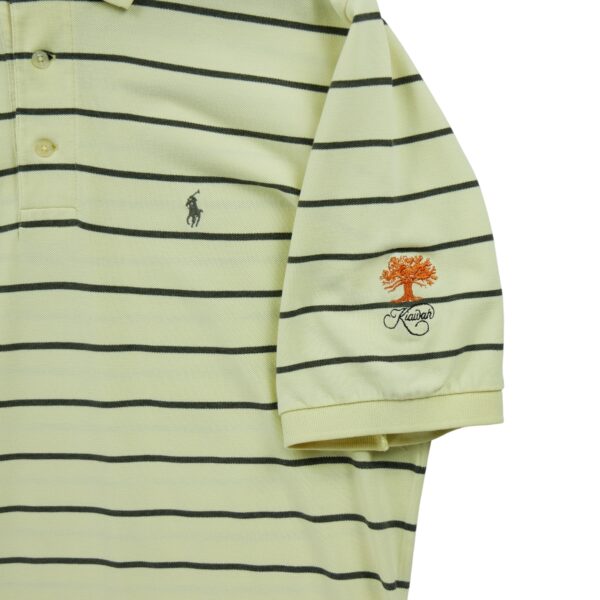 Polo manches courtes homme jaune Polo Ralph Lauren Motif a rayures Col Polo