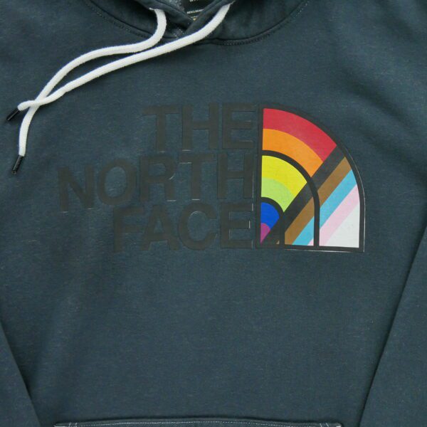 Sweat a capuche homme manches longues gris The North Face Motif chine Col Rond