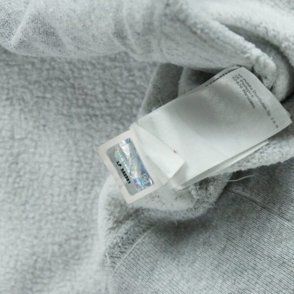 Sweat a capuche homme manches longues gris The North Face Motif chine Col Rond