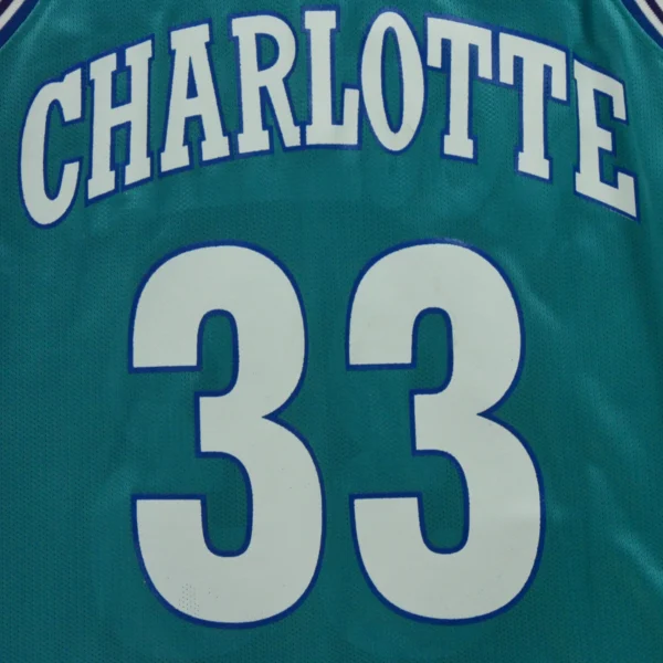Maillot Homme NBA Alonzo Mourning – Image 3