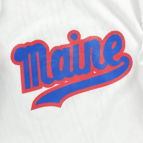 Maillot manches longues homme blanc NHL