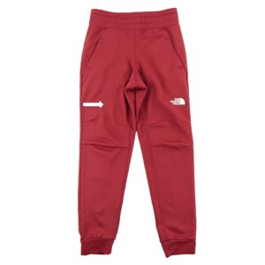 Jogging homme bordeaux The North Face