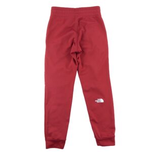 Jogging homme bordeaux The North Face