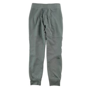 Jogging femme gris The North Face