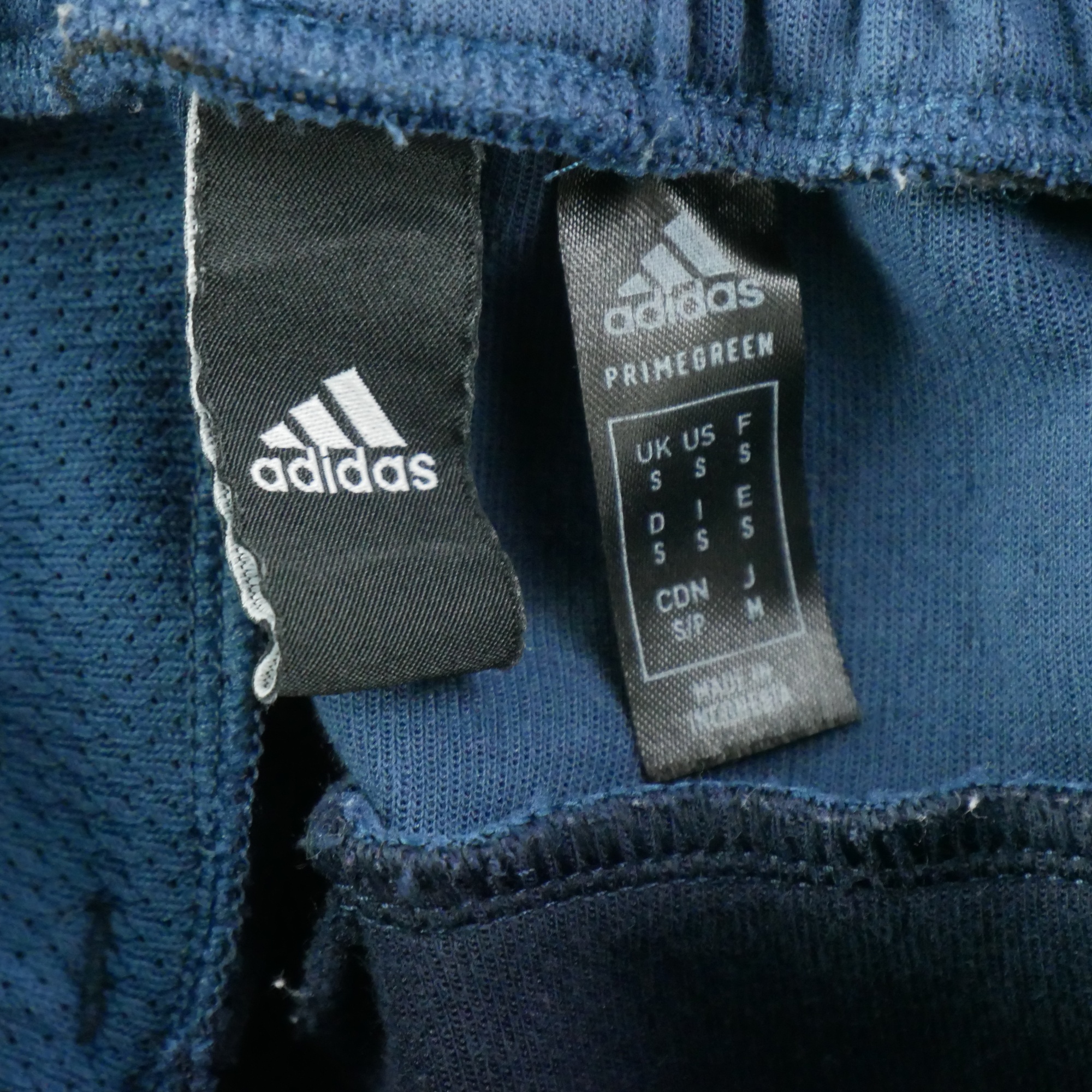 Jogging Homme Bleu 5